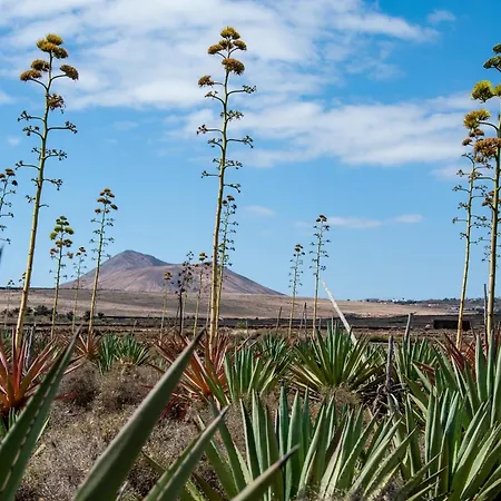 Сasa de vacaciones Casa Cactus Villaverde (Fuerteventura)
